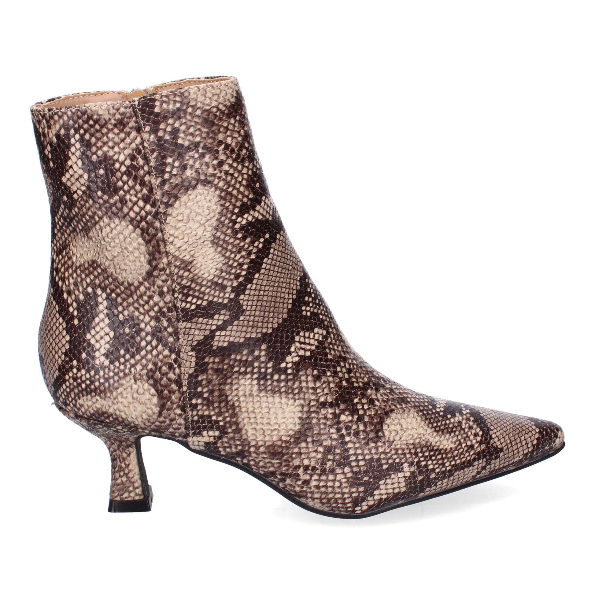 A-3306-Serpiente DropshippingZapatos.com