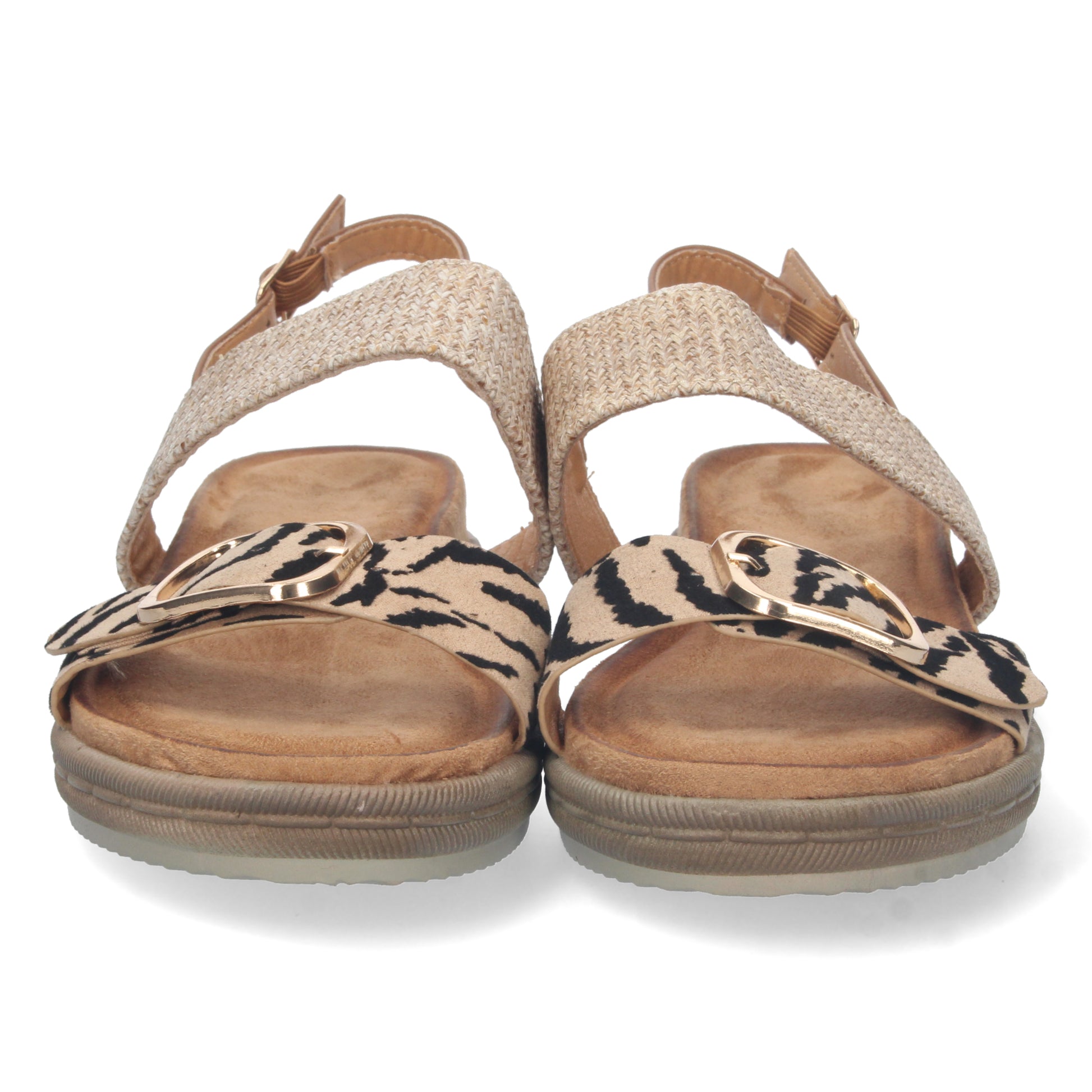 AF-2322-Leopardo DropshippingZapatos.com