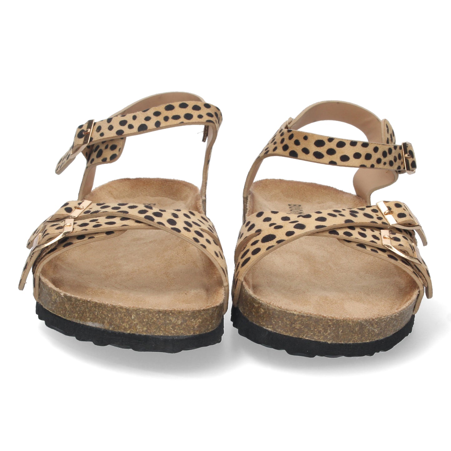 AY-2240-Leopardo DropshippingZapatos.com