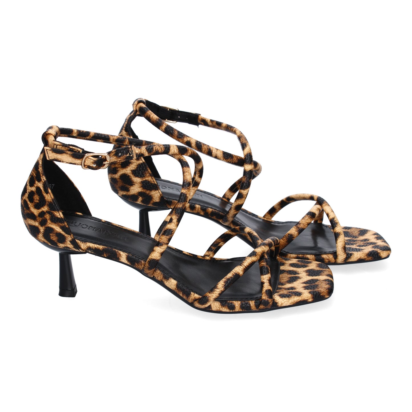 B-5099-Leopardo DropshippingZapatos.com