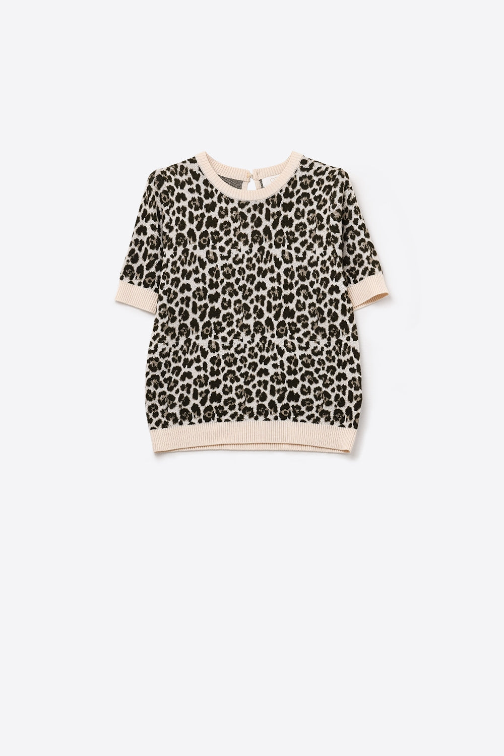 Jersey chic de manga corta con estampado de leopardo Q2