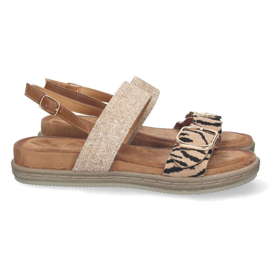 AF-2322-Leopardo DropshippingZapatos.com