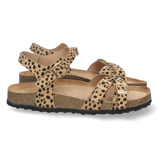 AY-2240-Leopardo DropshippingZapatos.com