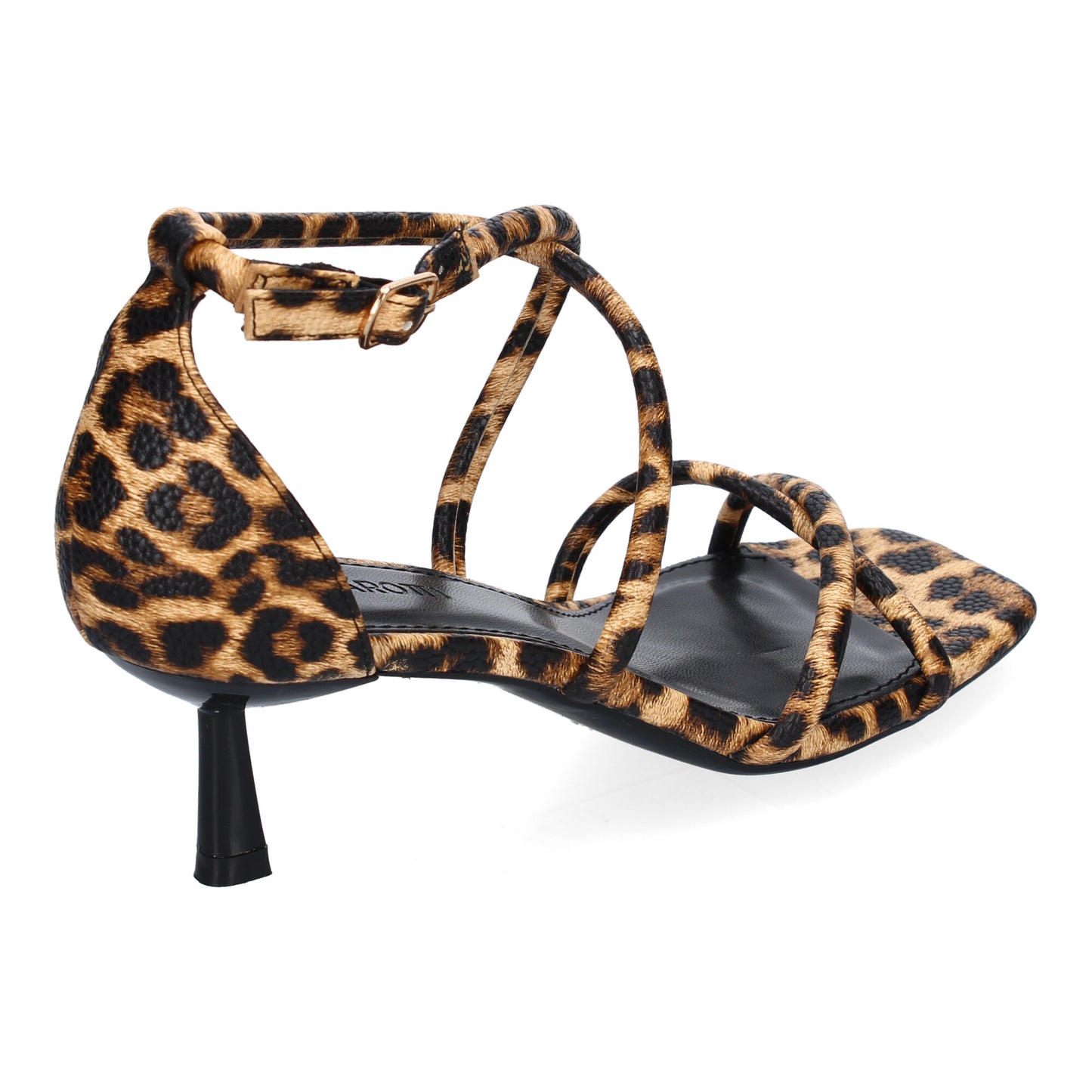B-5099-Leopardo DropshippingZapatos.com