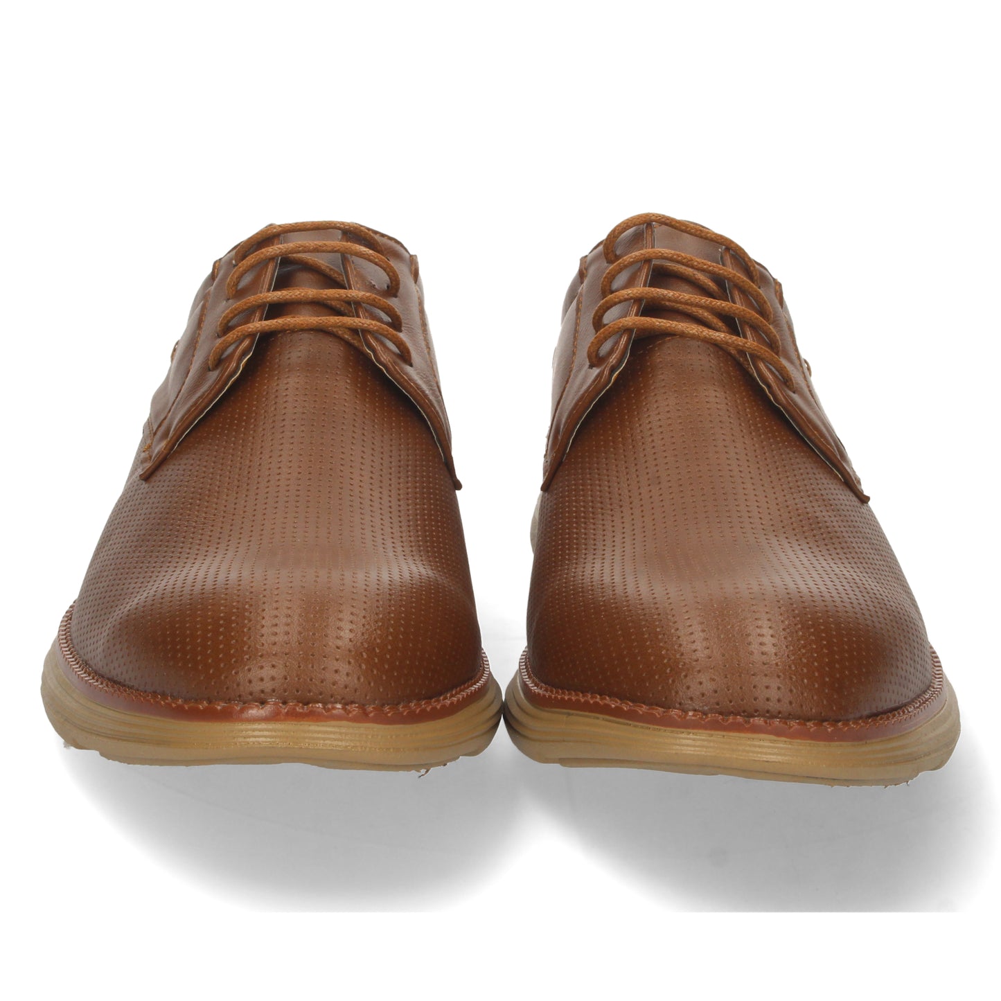 C3046-Marron DropshippingZapatos.com