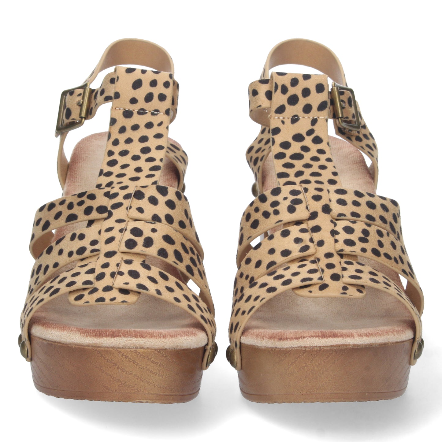 DB-2353-Leopardo DropshippingZapatos.com
