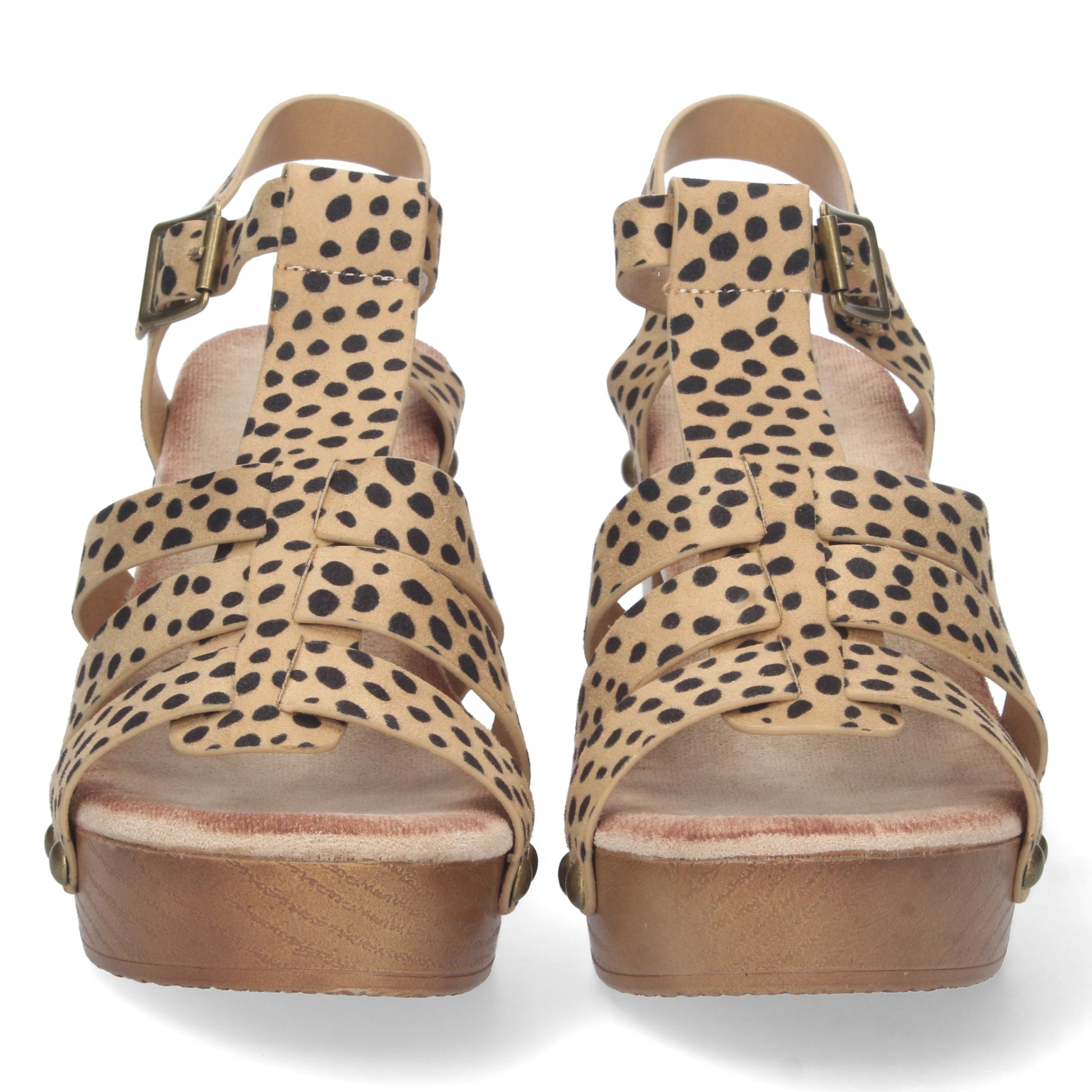 DB-2353-Leopardo DropshippingZapatos.com