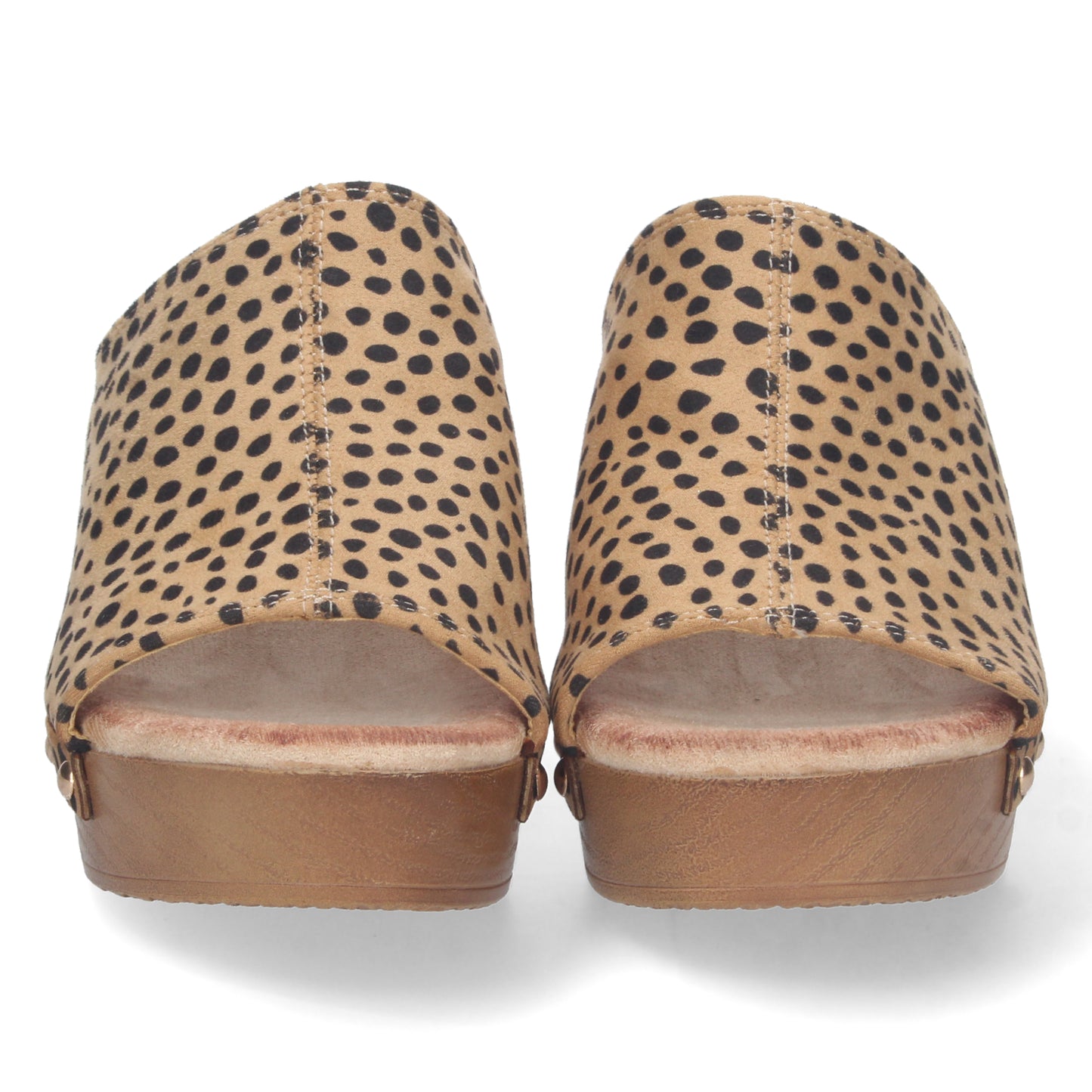 DB-2355-Leopardo DropshippingZapatos.com