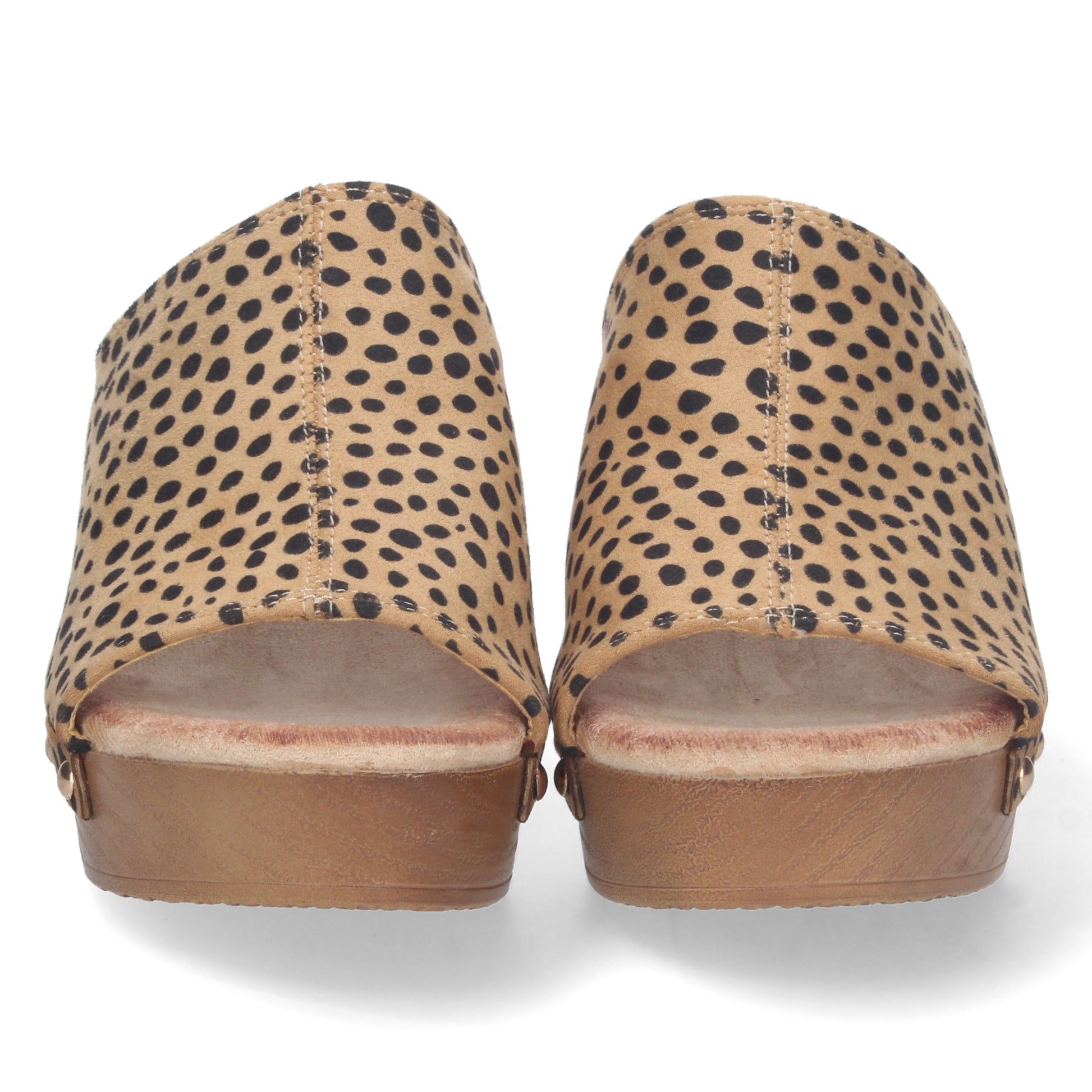 DB-2355-Leopardo DropshippingZapatos.com