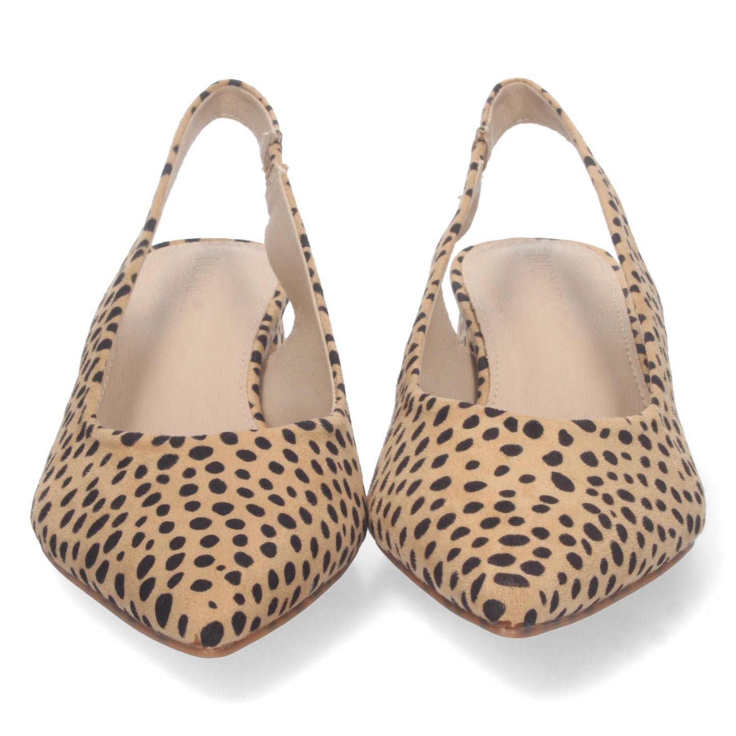DB-2360-Leopardo DropshippingZapatos.com