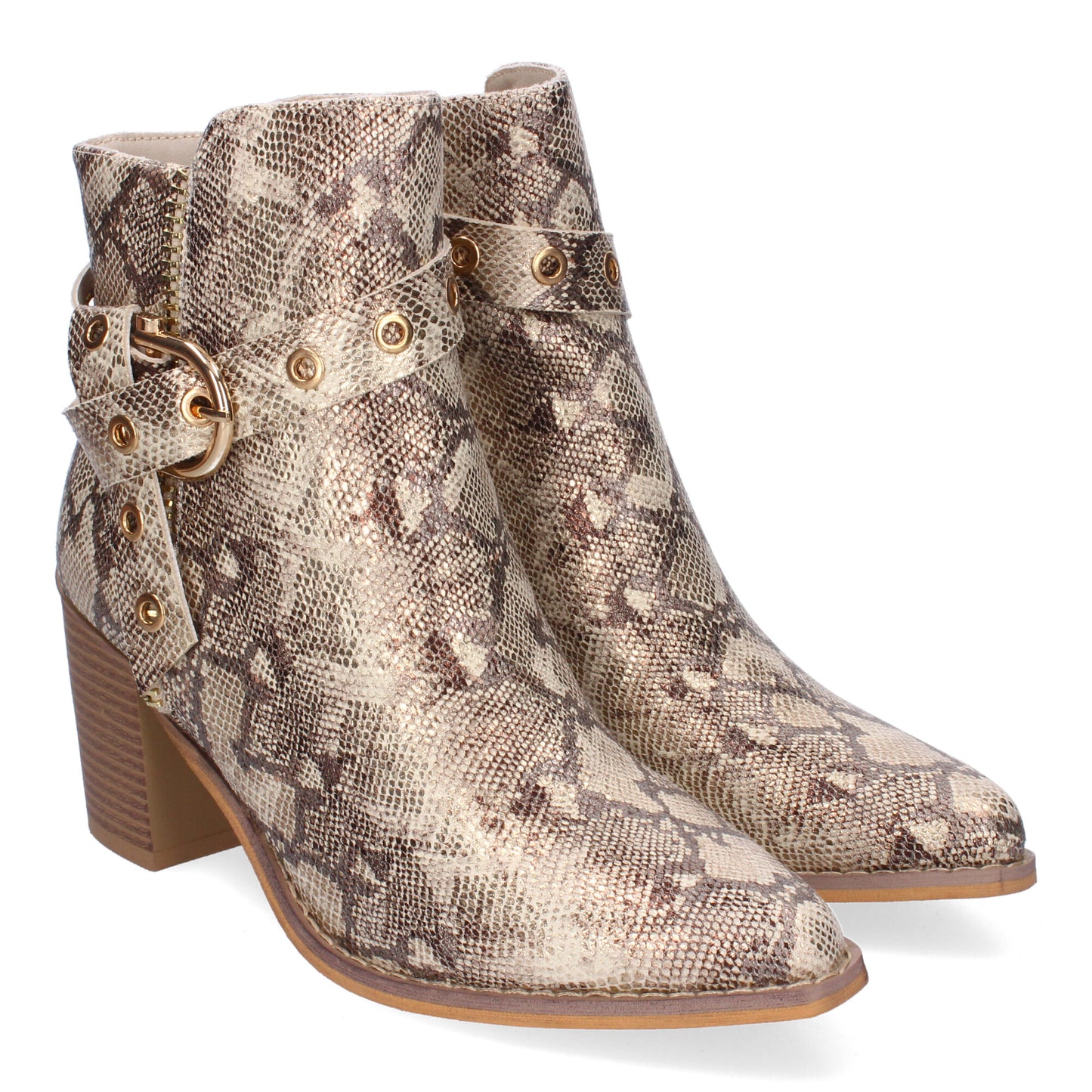 F6697-Serpiente DropshippingZapatos.com