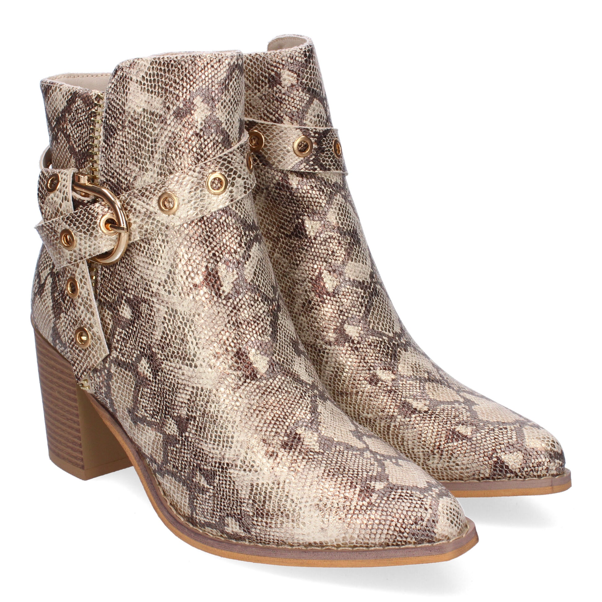 F6697-Serpiente DropshippingZapatos.com