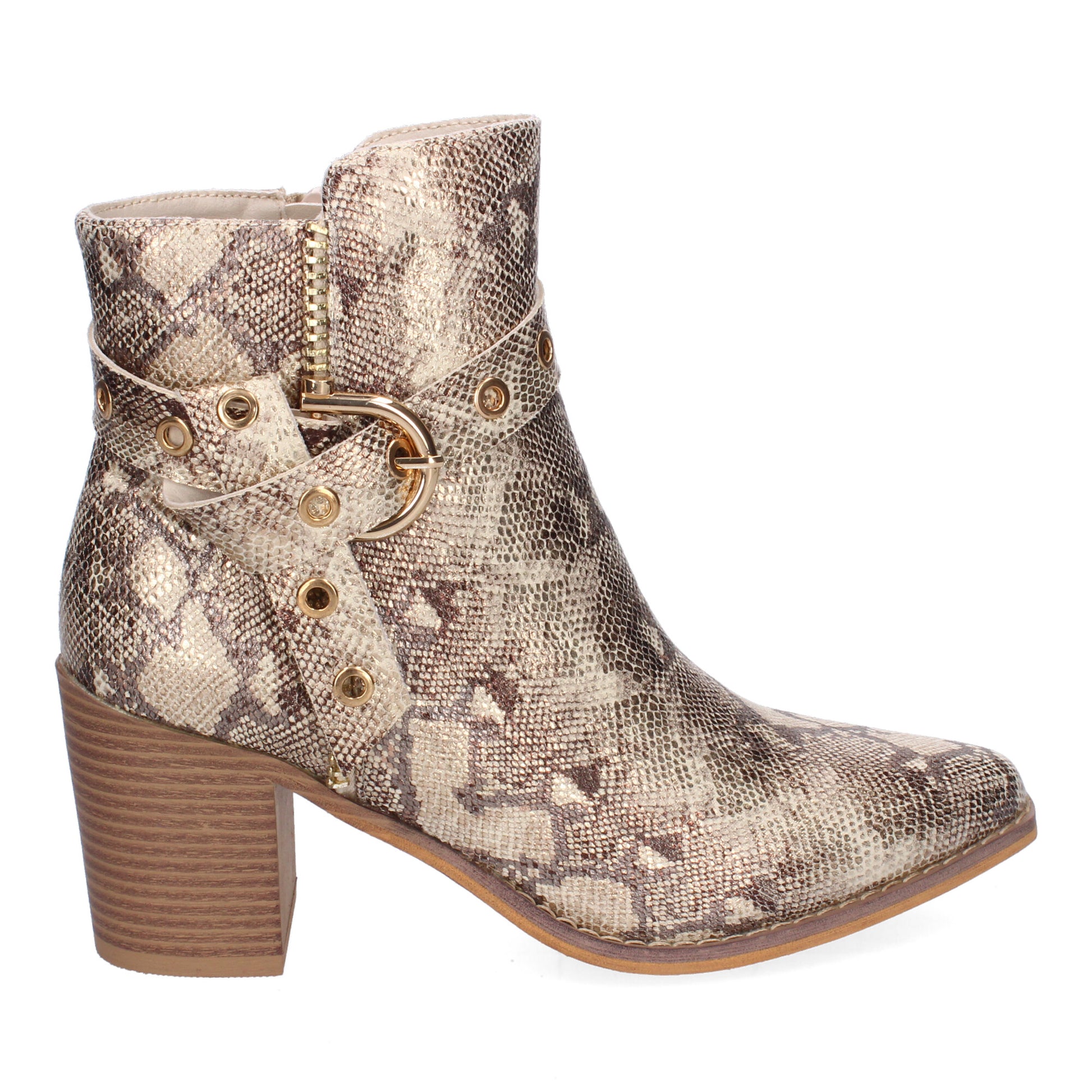 F6697-Serpiente DropshippingZapatos.com