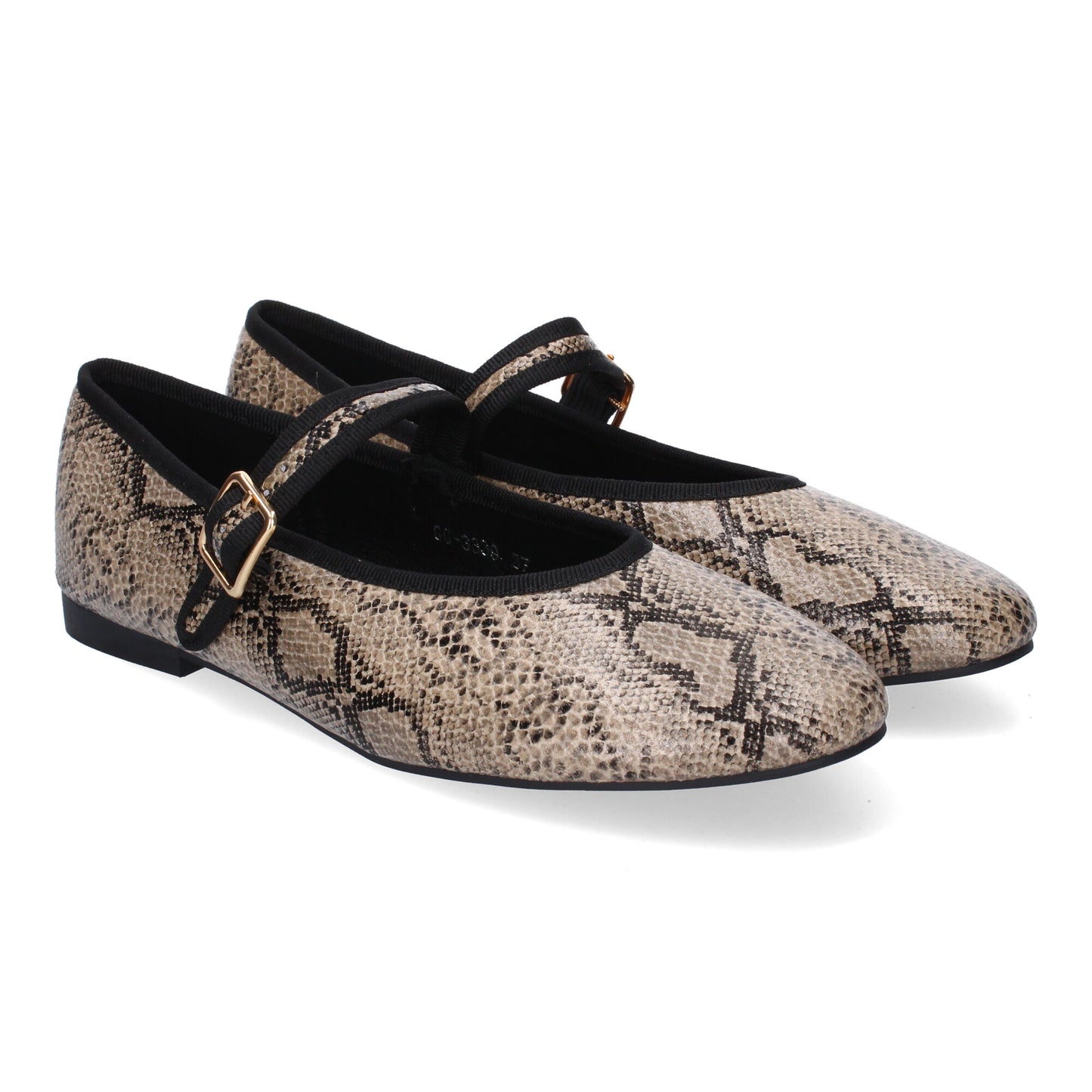 GG-3339-Serpiente DropshippingZapatos.com