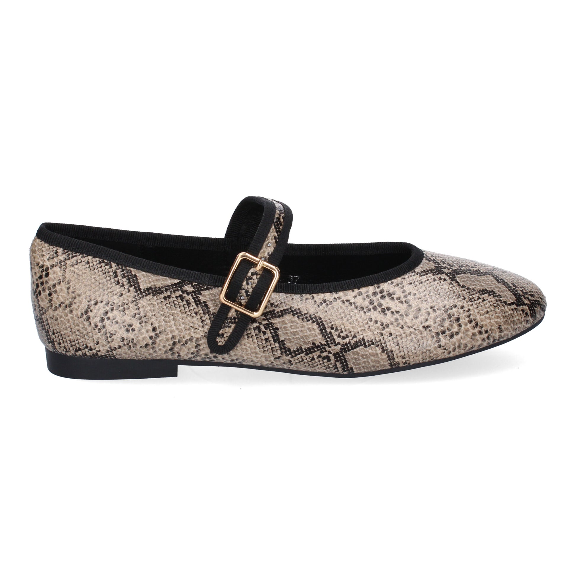 GG-3339-Serpiente DropshippingZapatos.com