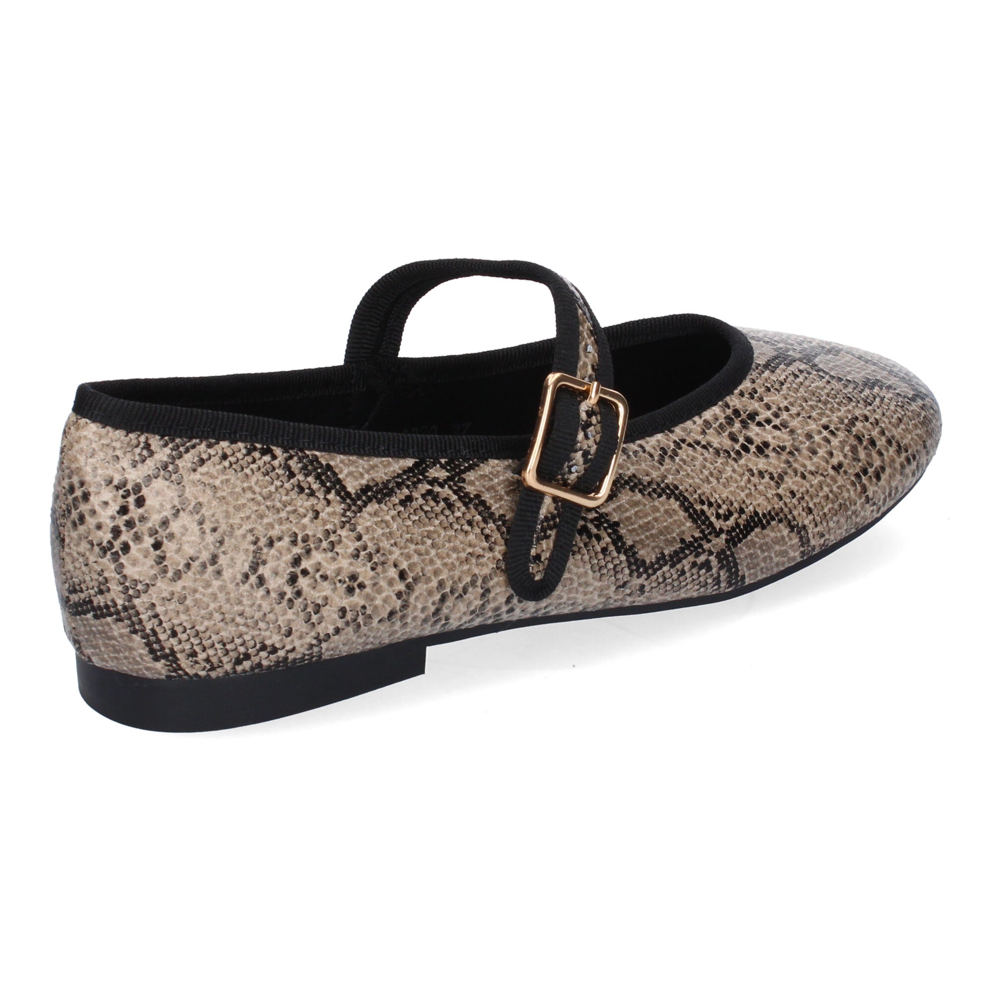 GG-3339-Serpiente DropshippingZapatos.com