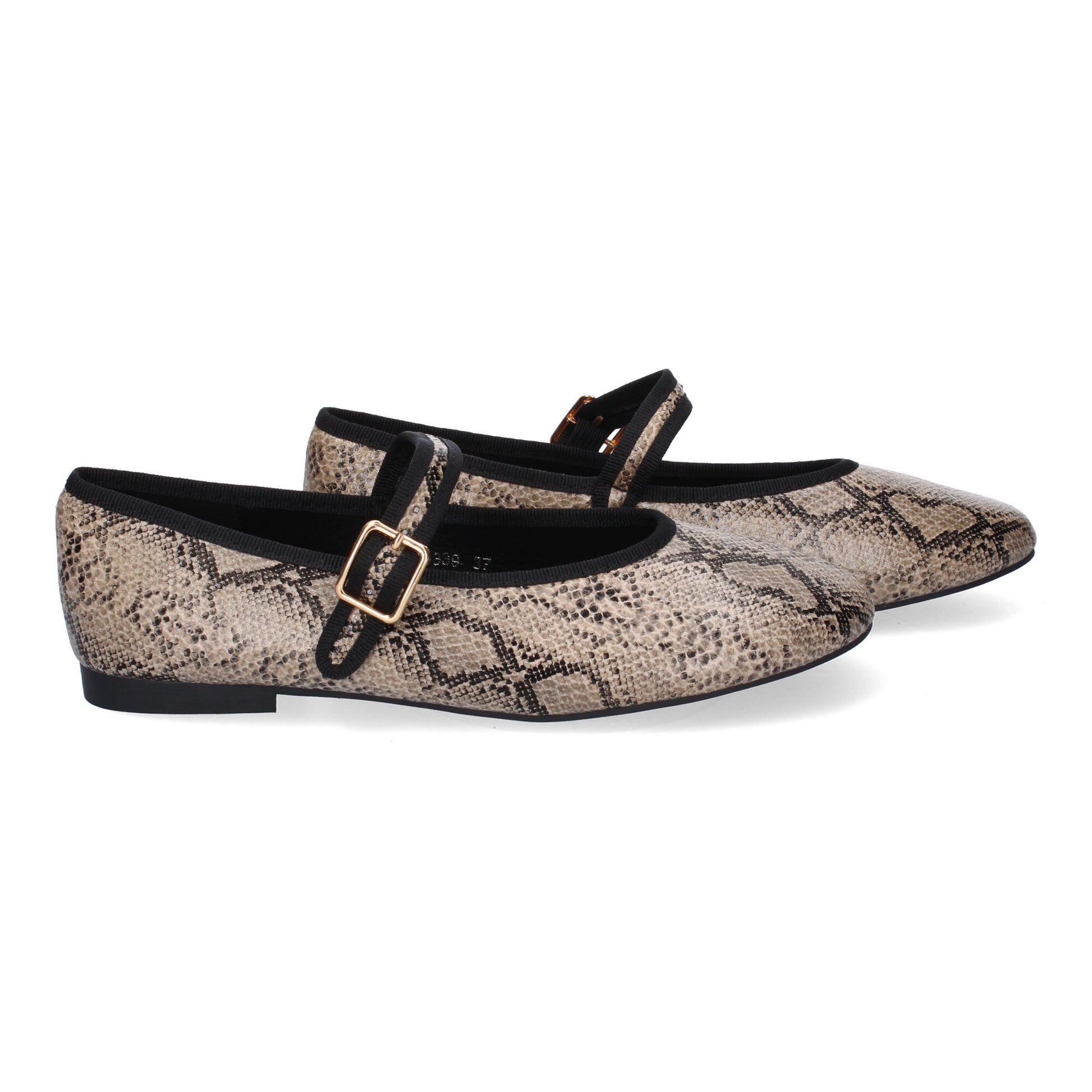GG-3339-Serpiente DropshippingZapatos.com